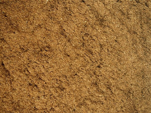 Őrölt cseh kömény - 100 g