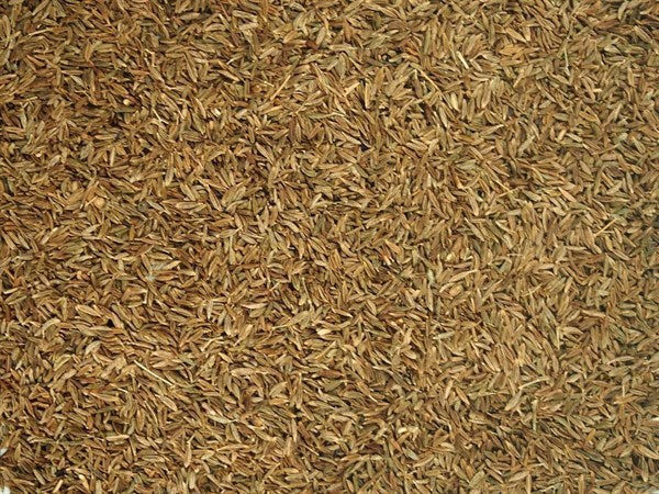 Római kömény egészben - 100 g