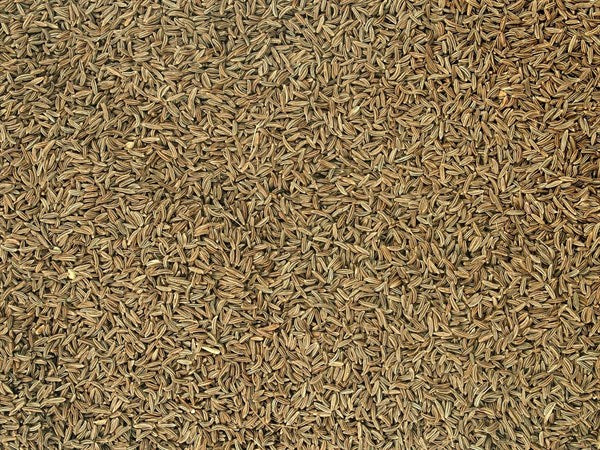 Egész bio cseh kömény - 100 g