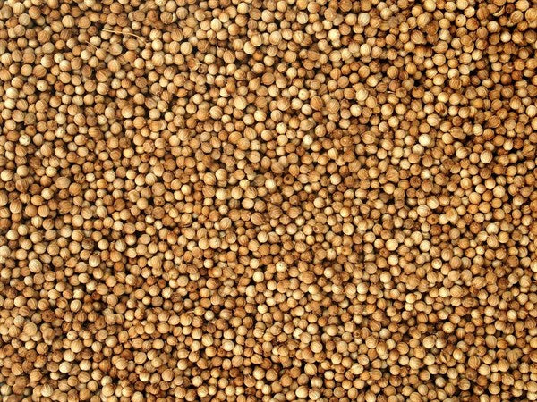 Egész bio koriander - 100 g