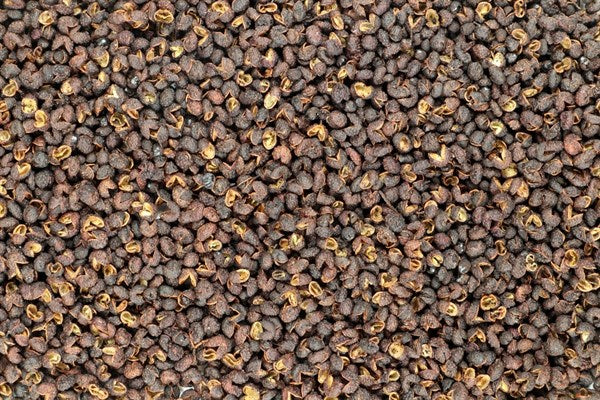 Szécsuáni paprika Timut egész BIO - 100 g