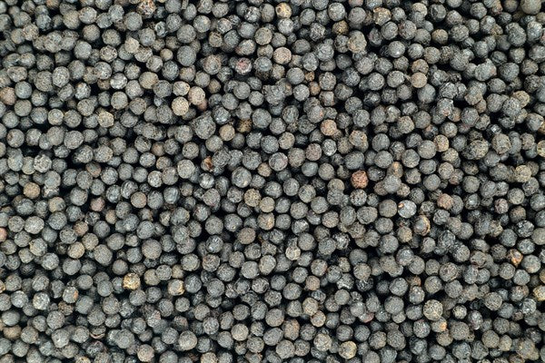 Verbena bors - 100 g