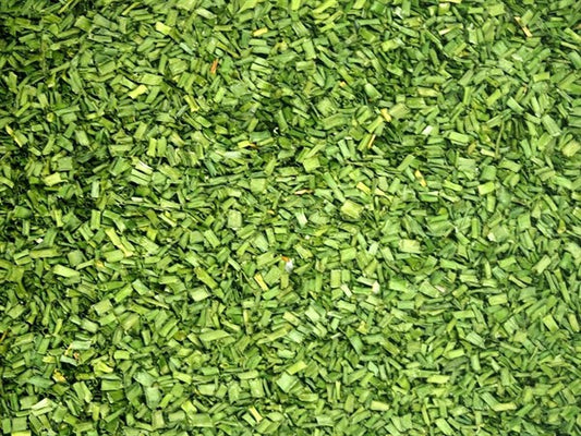 metélőhagyma - 100 g