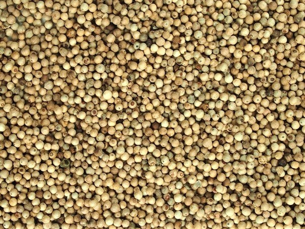 Egész fehér bors - 100 g