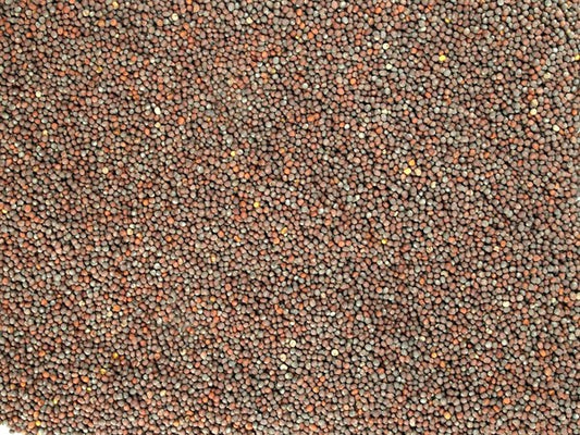 Egész fekete mustár - 100 g