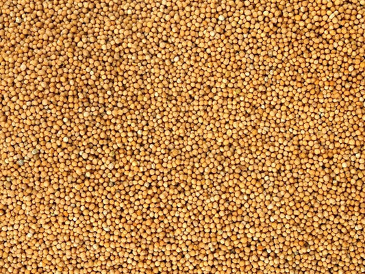 Egész bio fehér mustár - 100 g