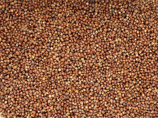 Guinea paprika - paradicsommag - 100 g