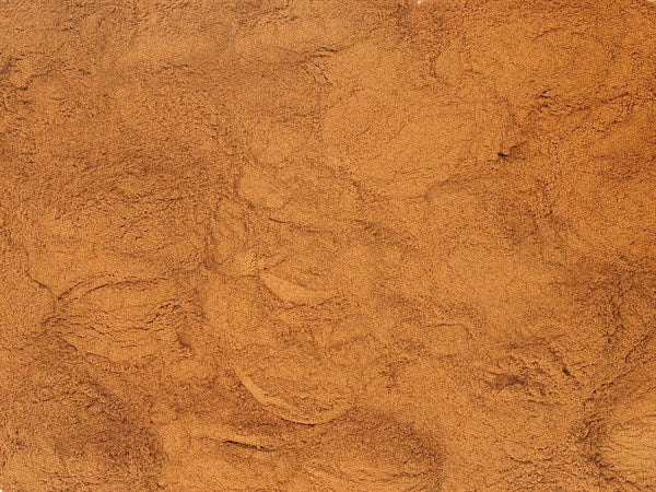 Ceyloni fahéj őrölt BIO - 100 g