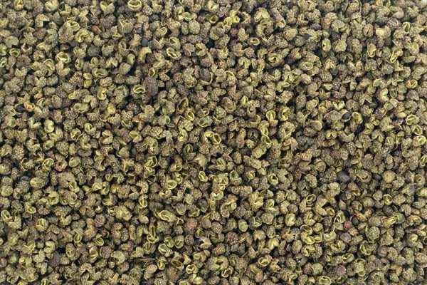 egész szecsuáni zöldpaprika - 100 g