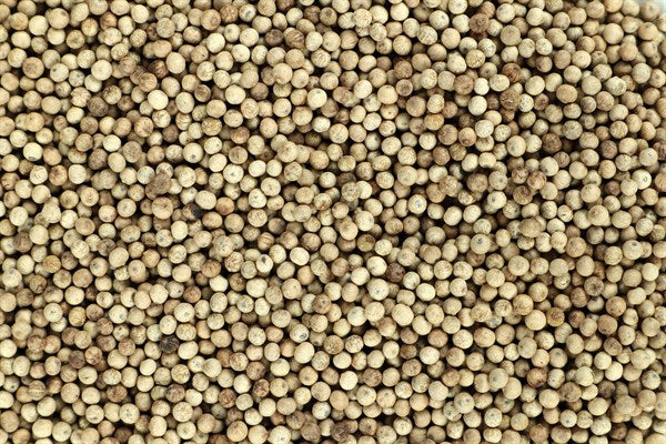 Kampot fehér bors - 100 g