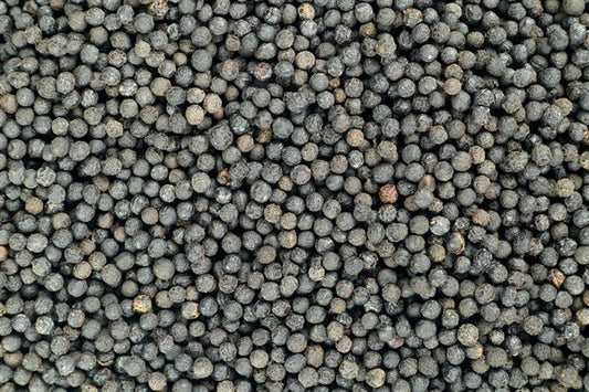 Verbena bors - 100 g