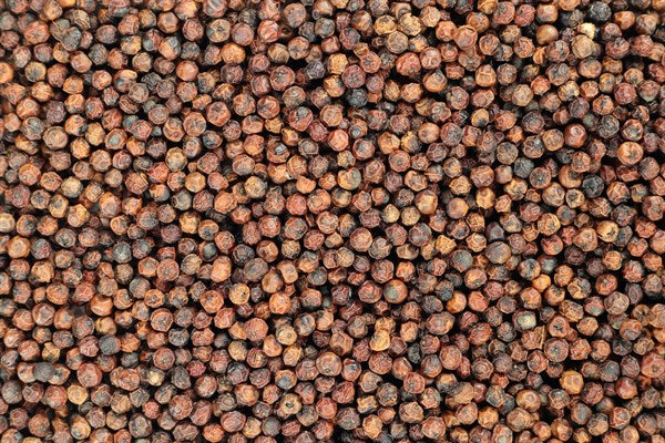 BIO piros Kampot paprika - 100 g